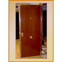 DE  SEGURIDAD  BLINDADAS 678