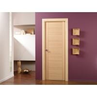 PUERTAS PIVOTANTES 1469